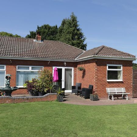 The Bungalow York Exteriör bild